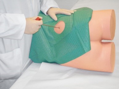 Mô hình thực tập tiêm mông và sinh thiết đục lỗ ở mào chậu