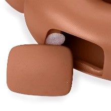 Mô hình điều dưỡng bệnh nhân nam