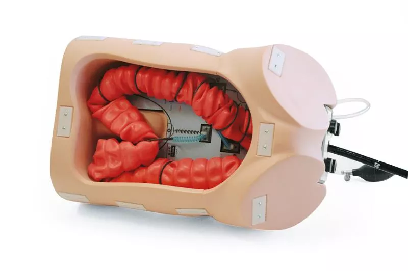 Colonoscope training model