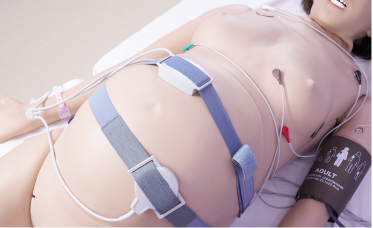 Mô hình mô phỏng bệnh nhân sản phụ và thai nhi đa chức năng