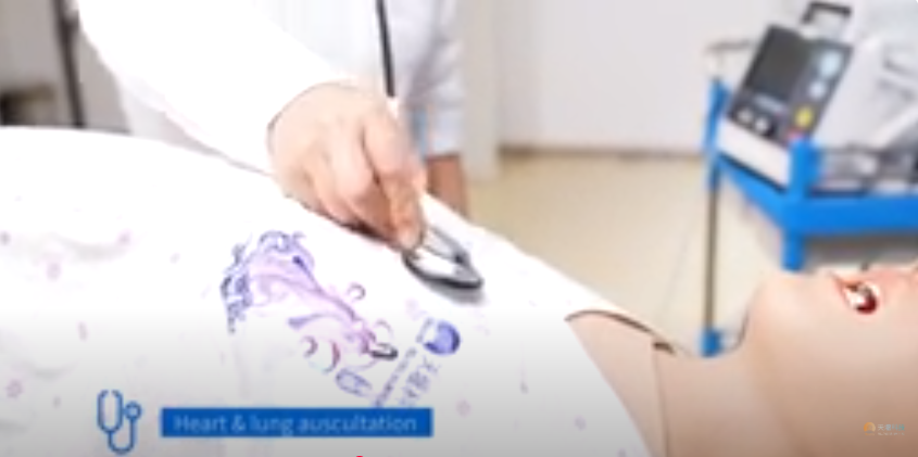 Mô hình mô phỏng bệnh nhân sản phụ và thai nhi đa chức năng