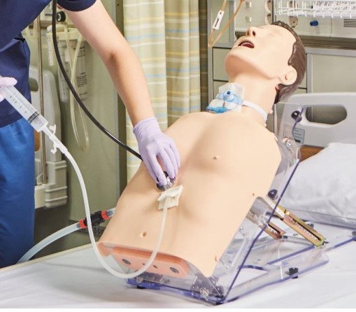 Mô hình thực hành: Nuôi ăn qua ống & Chăm sóc mở khí quản & Hút đờm dãi