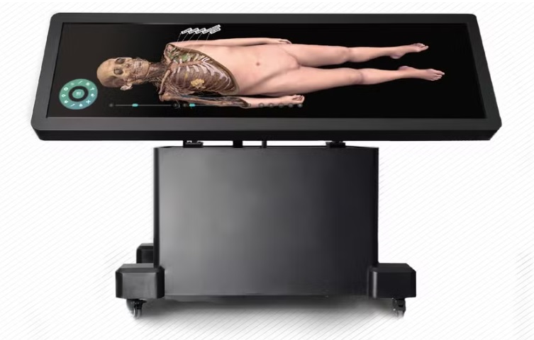 Hệ thống bàn giải phẫu 3D