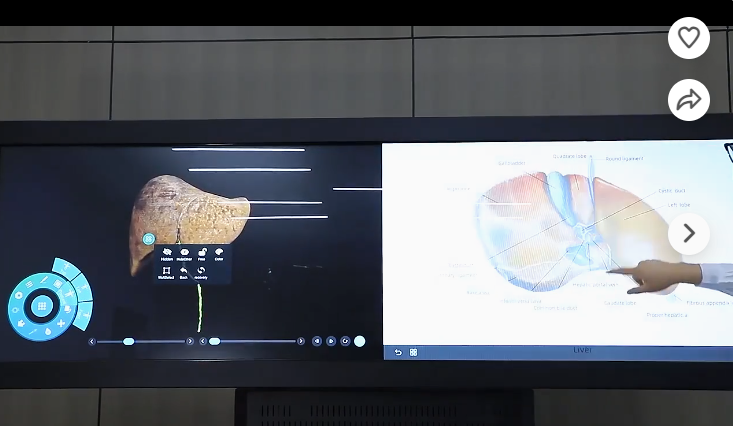 Hệ thống bàn giải phẫu 3D dùng cho trường đại học