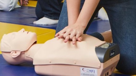 Mô hình huấn luyện CPR (bán thân người lớn Sherpa)